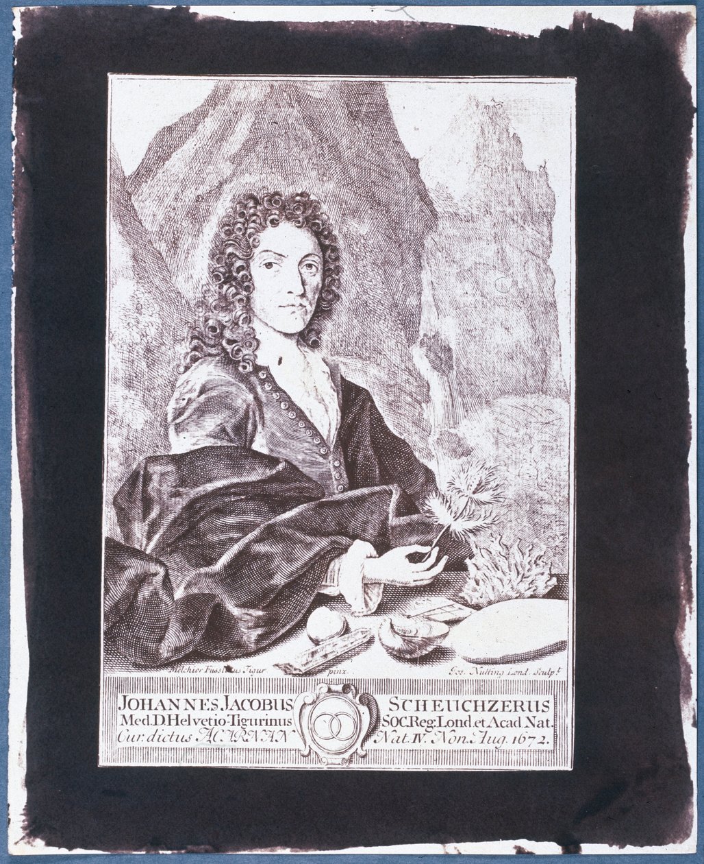 Johann Jakob Scheuchzer av Swiss School