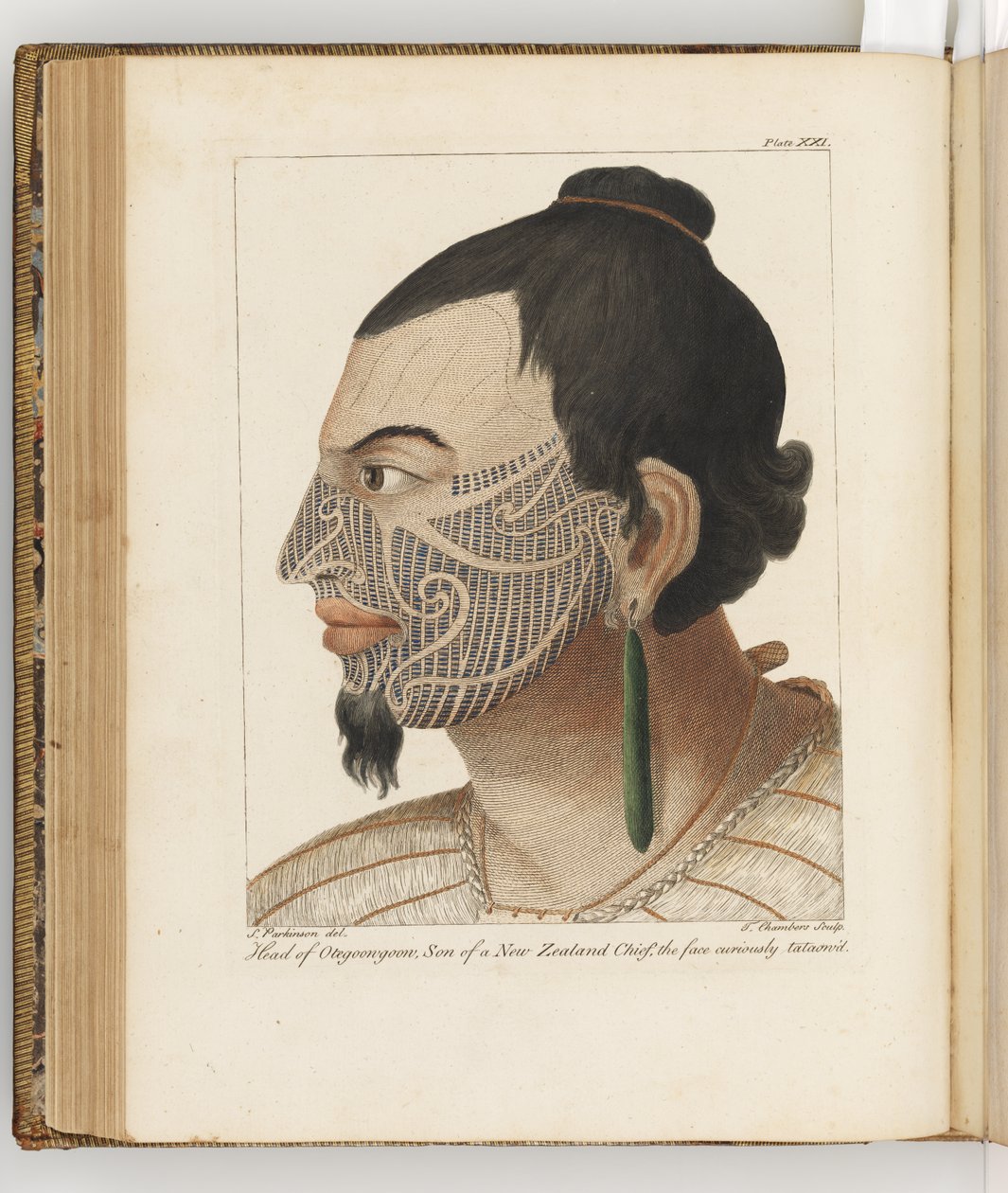 Leder for Otegoongoon, illustrasjon fra A journal of a voyage to the South Seas: in His Majestys ship, the Endeavour, 1794 (håndfarget gravering) av Sydney