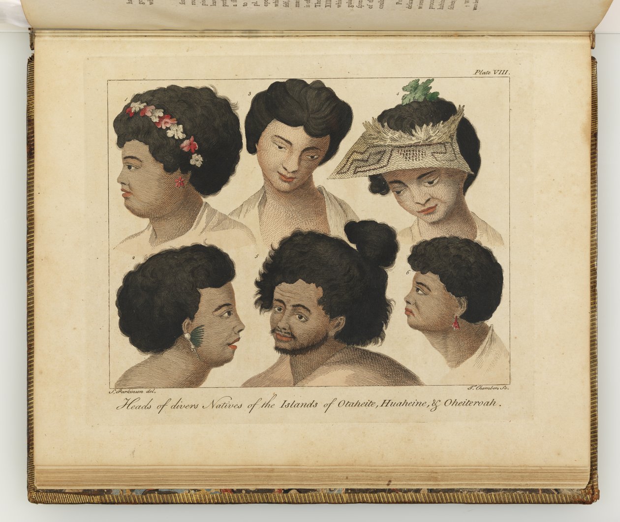 Hoder av forskjellige innfødte, illustrasjon fra A journal of a voyage to the South Seas: in His Majestys ship, the Endeavour, 1794 (håndfarget gravering) av Sydney