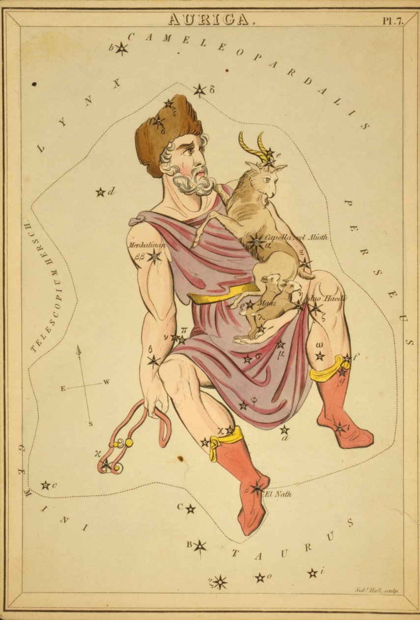 Auriga, illustrasjon fra 