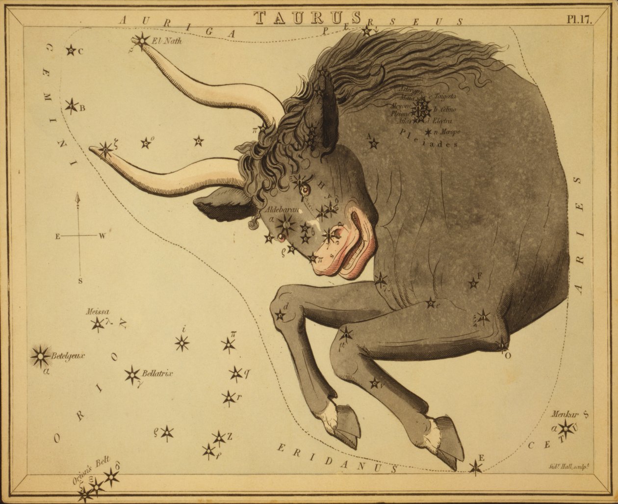 Taurus, illustrasjon fra 