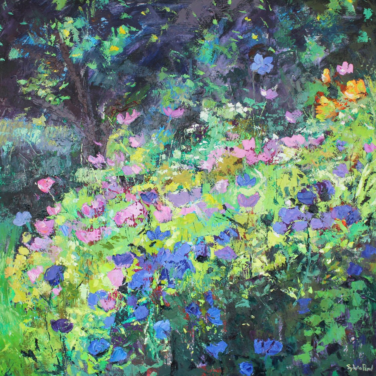 Lysets spill av Sylvia Paul