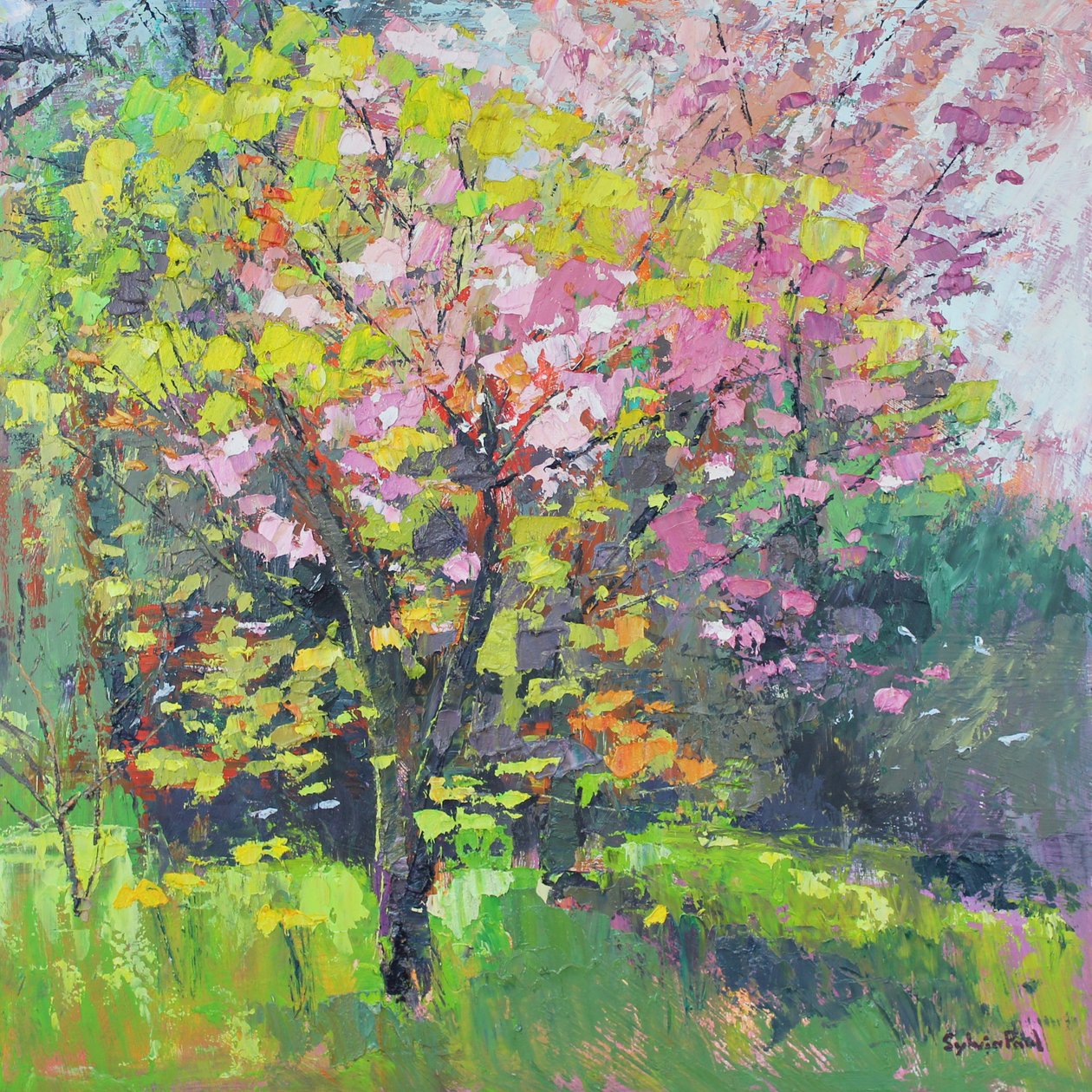 Blossom Delight av Sylvia Paul
