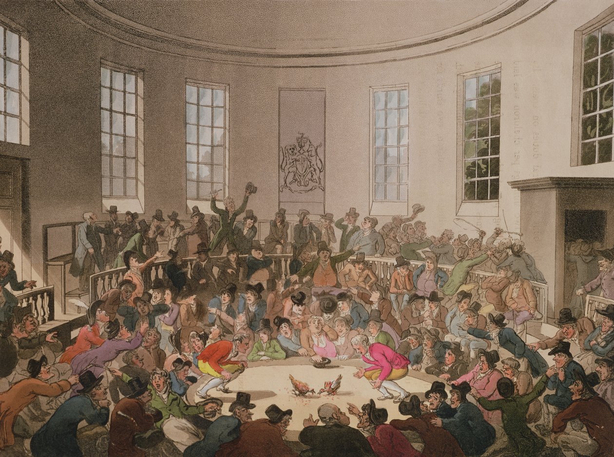 Royal Cock Pit, 1808, gravert av John Bluck (fl.1791-1819) av Pugin and Rowlandson