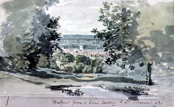 Watford av T. Clark