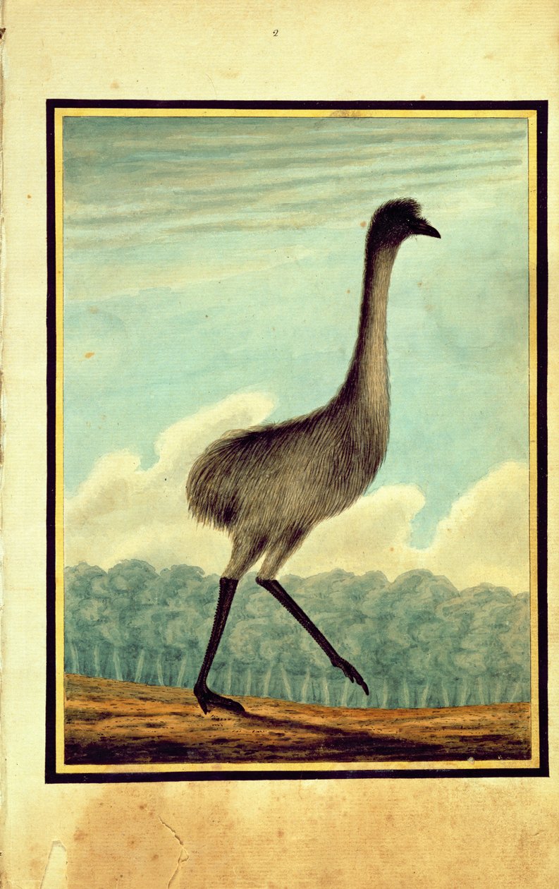 The Emue (sic), 1813 av T.R. Browne