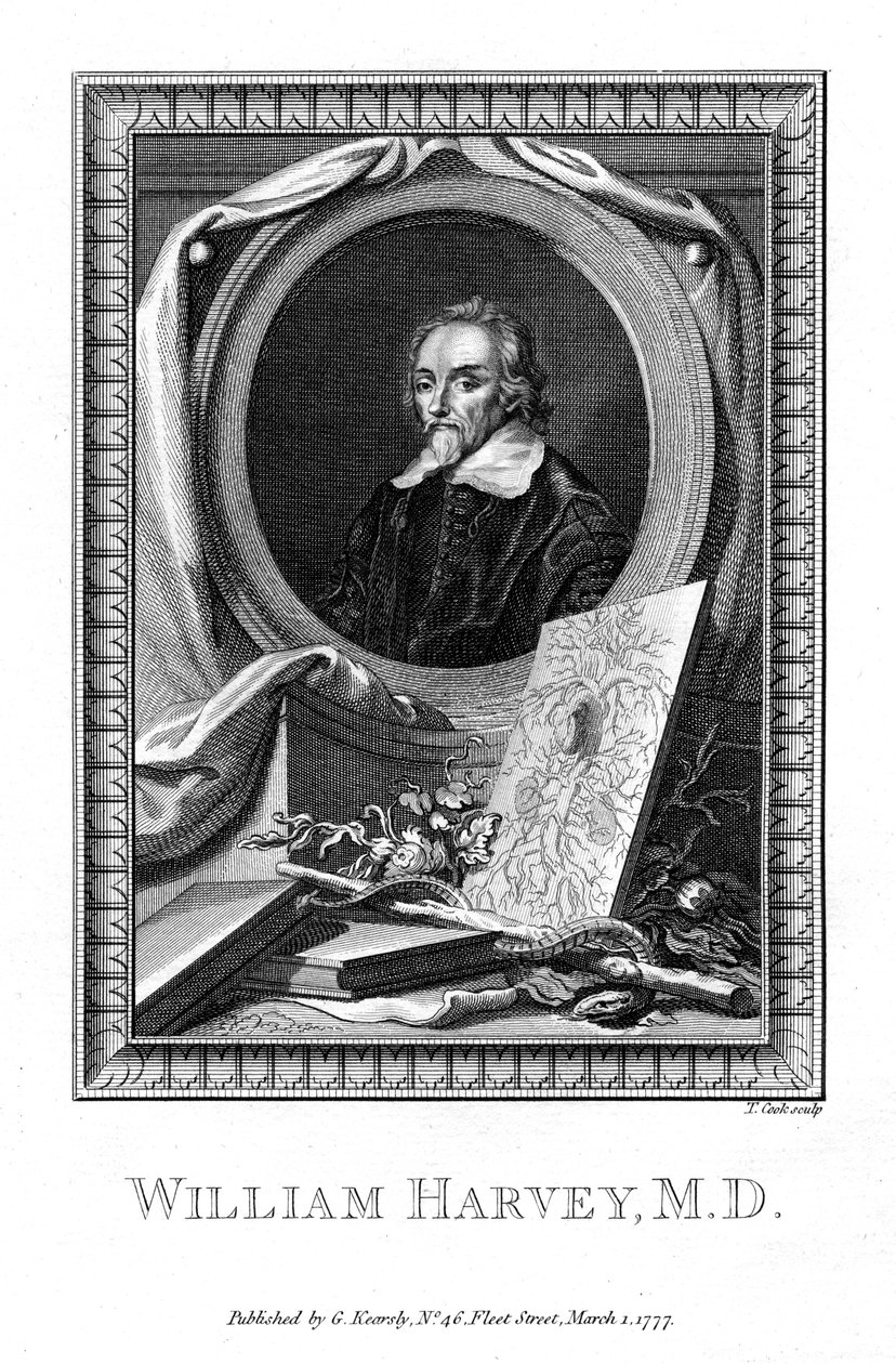 William Harvey, lege, 1777. av T. Cook