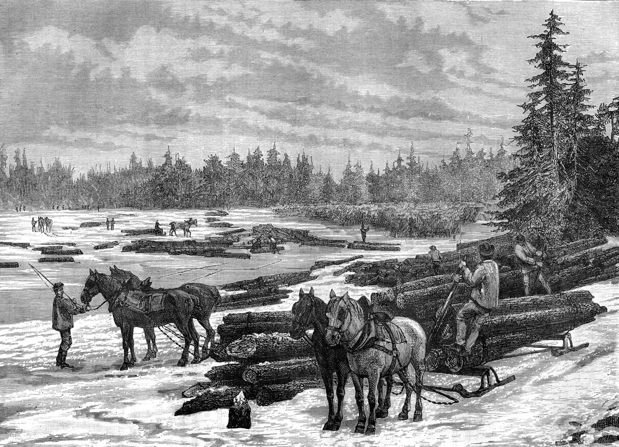 Kanadiske loggere, 1800-tallet. av Taylor