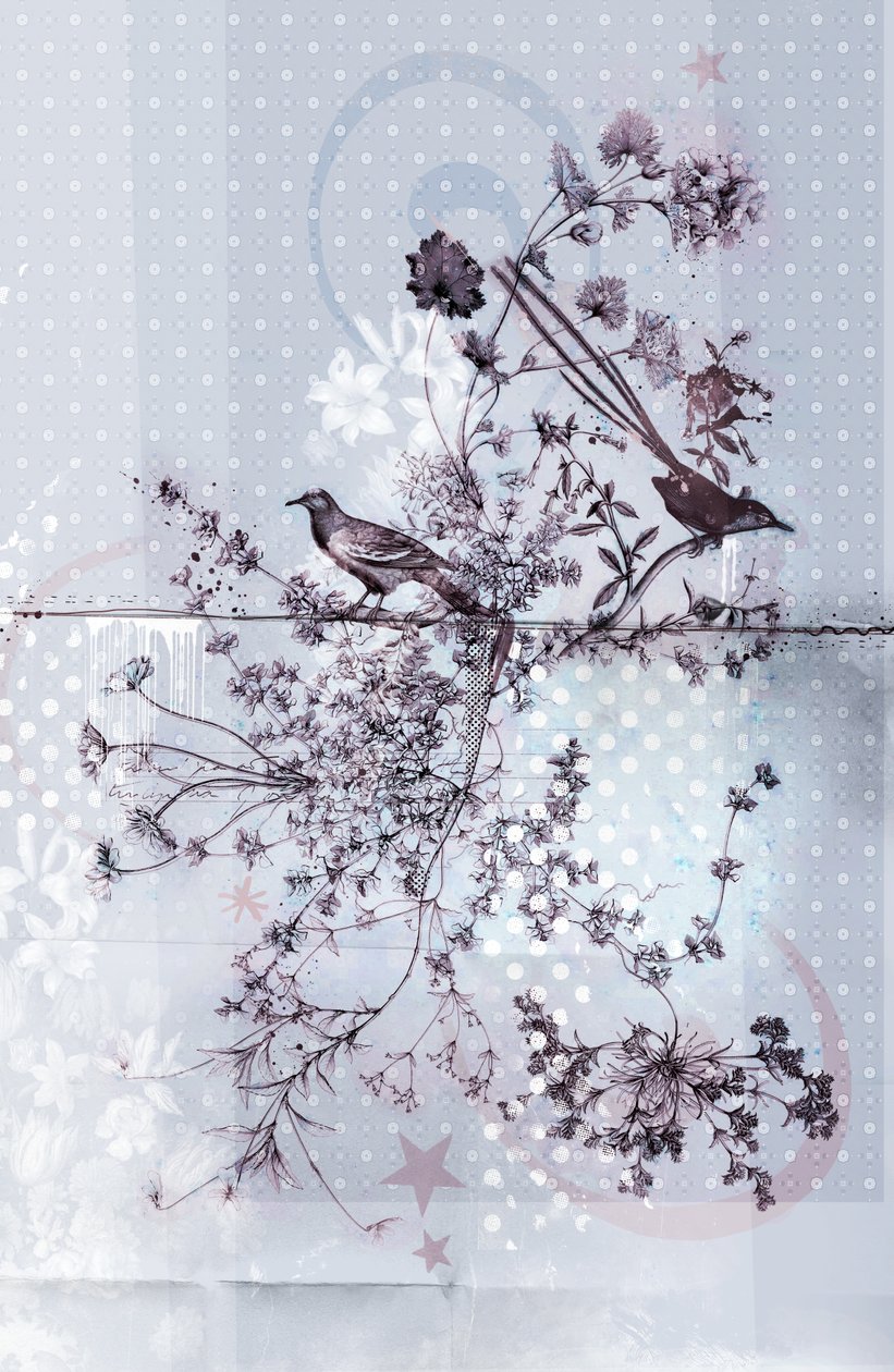 Branches of Birds, 2015 (Collage on canvas) av Teis Albers