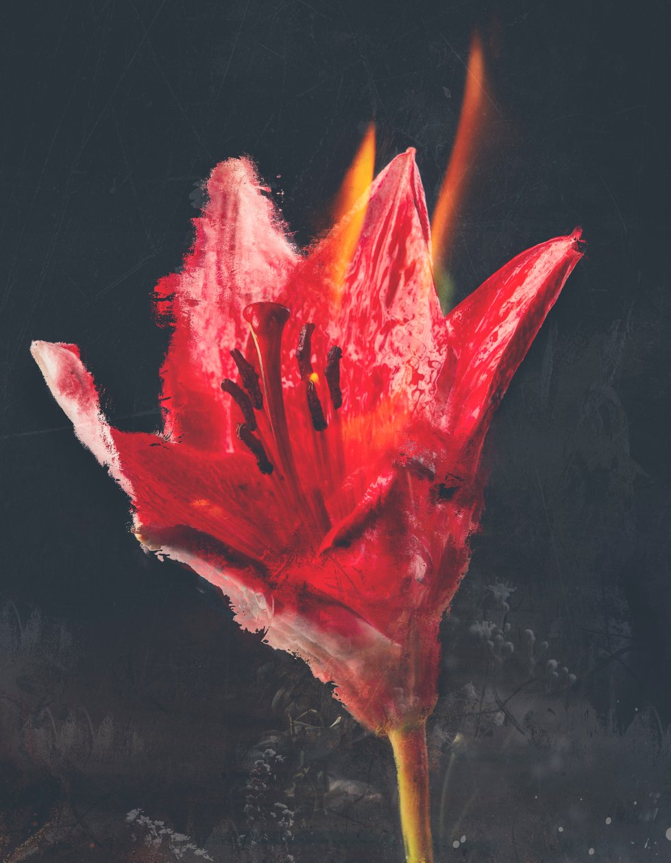 Combust, 2019 (blandet media på lerret) av Teis Albers