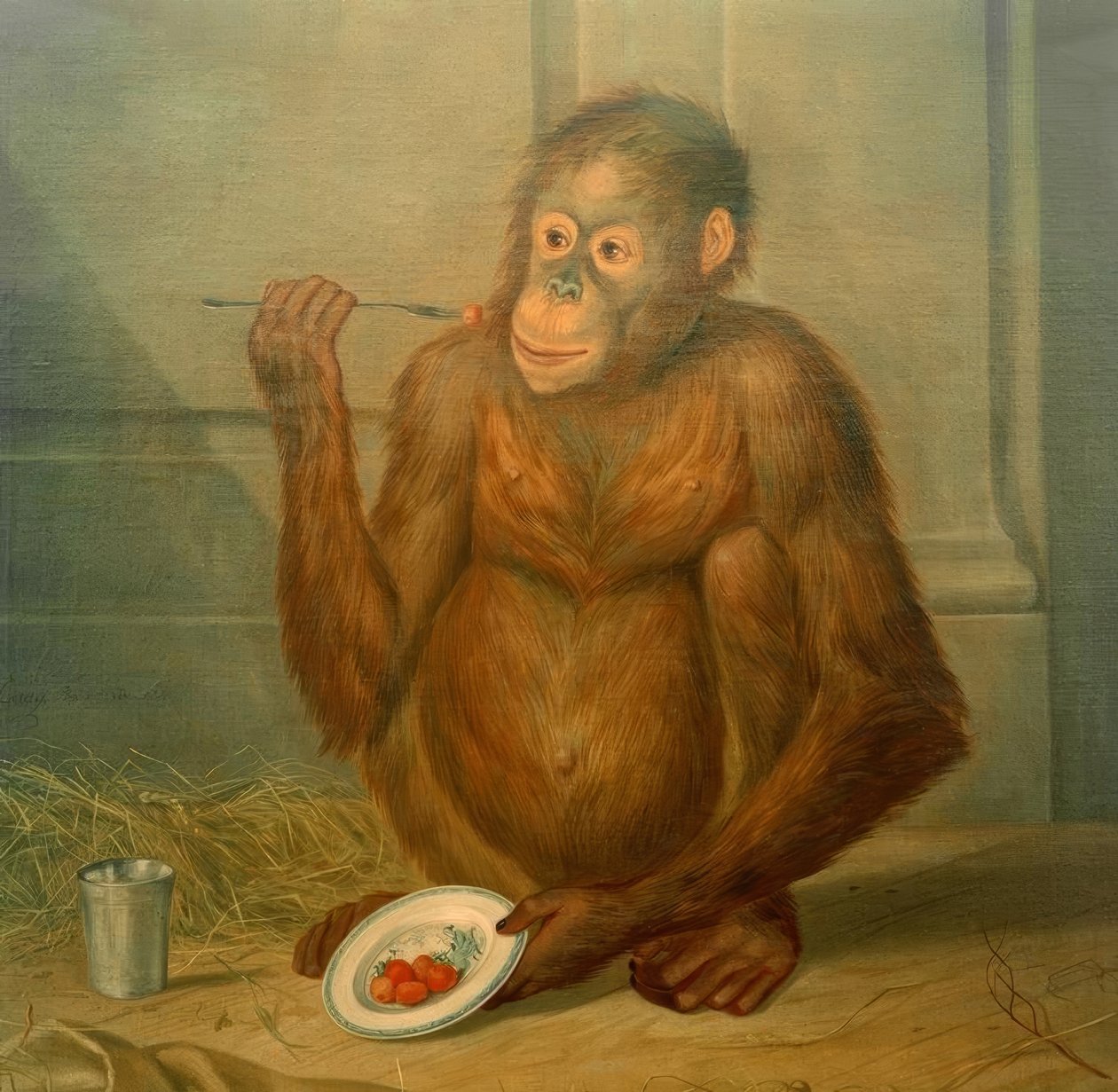 Orangutang, spiser jordbær av Tethart Philipp Christian Haag