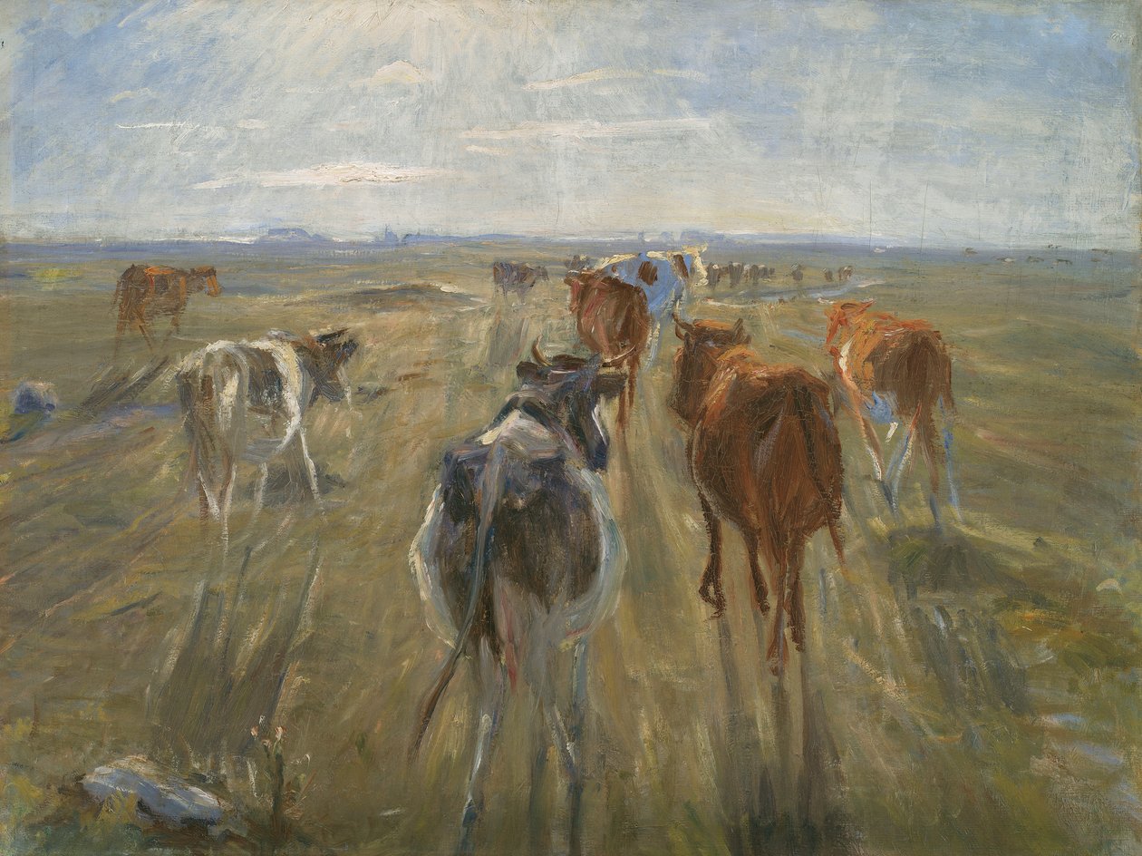 Lange skygger. Storfe på øya Saltholm, ca. 1890 av Theodor Esbern Philipsen