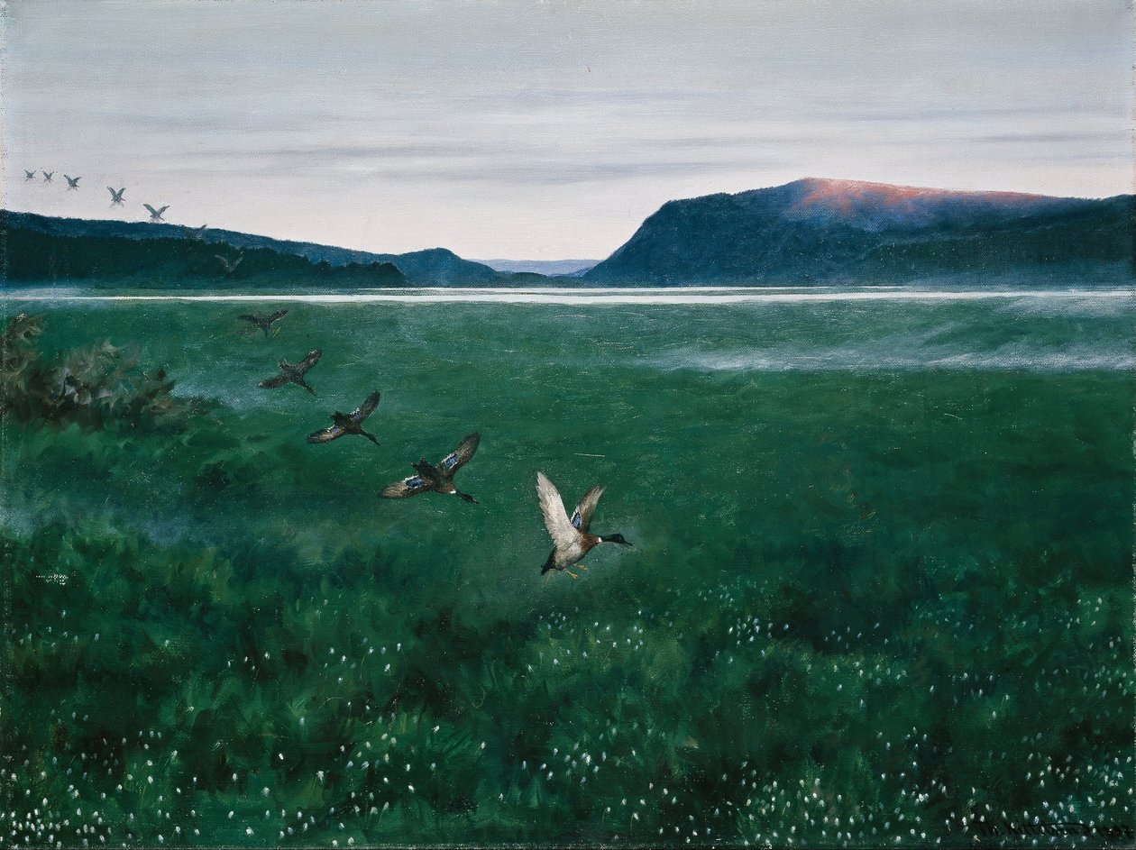 De tolv villandene av Theodor Kittelsen