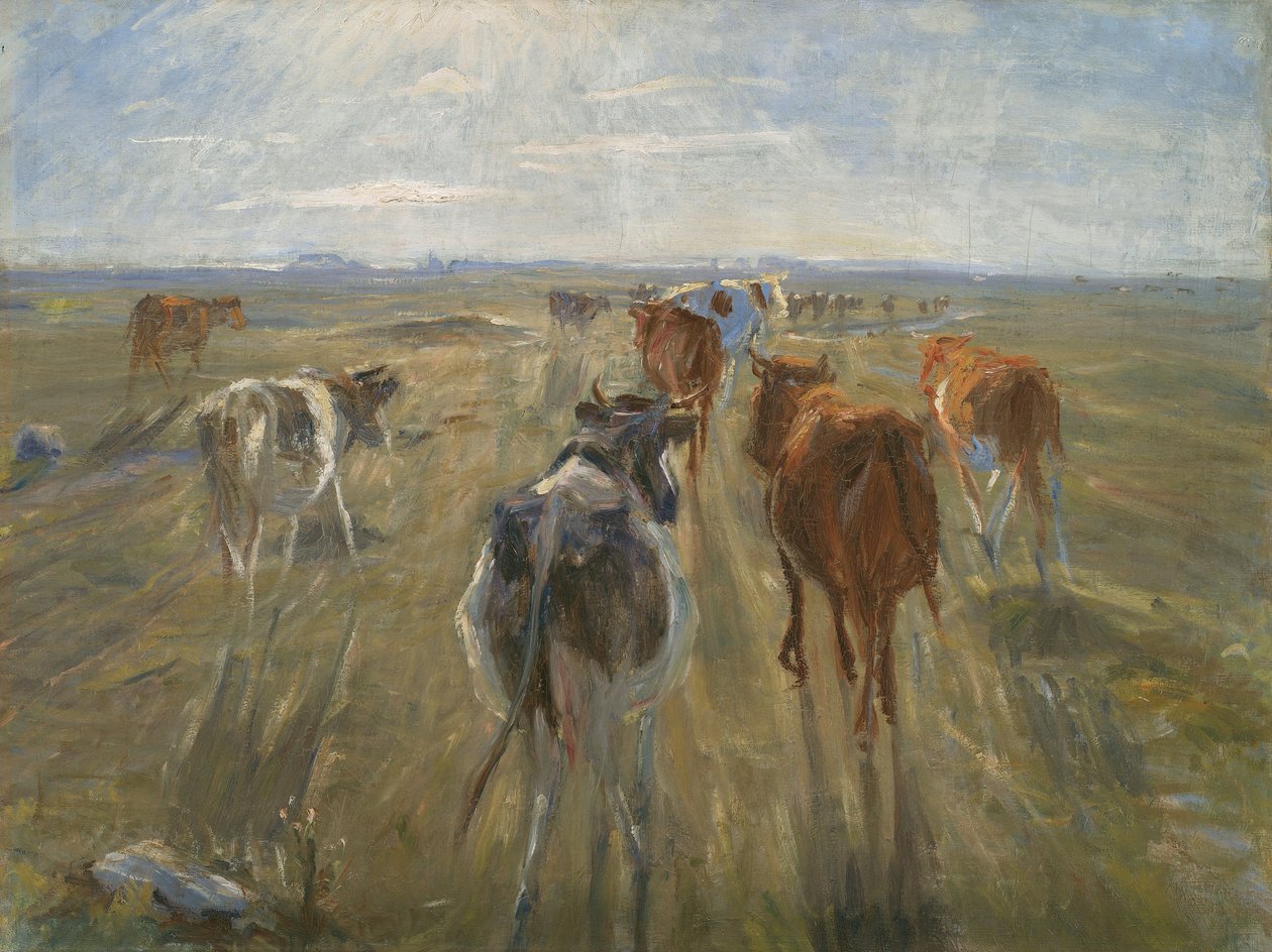 Lange skygger. Storfe på øya Saltholm av Theodor Esbern Philipsen