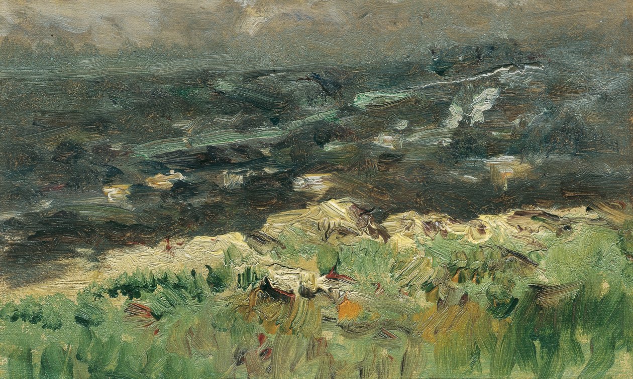 På sjøstranden av Theodor von Hormann