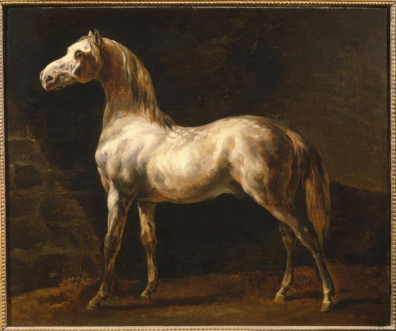 Den hvite hingsten av Theodore Gericault