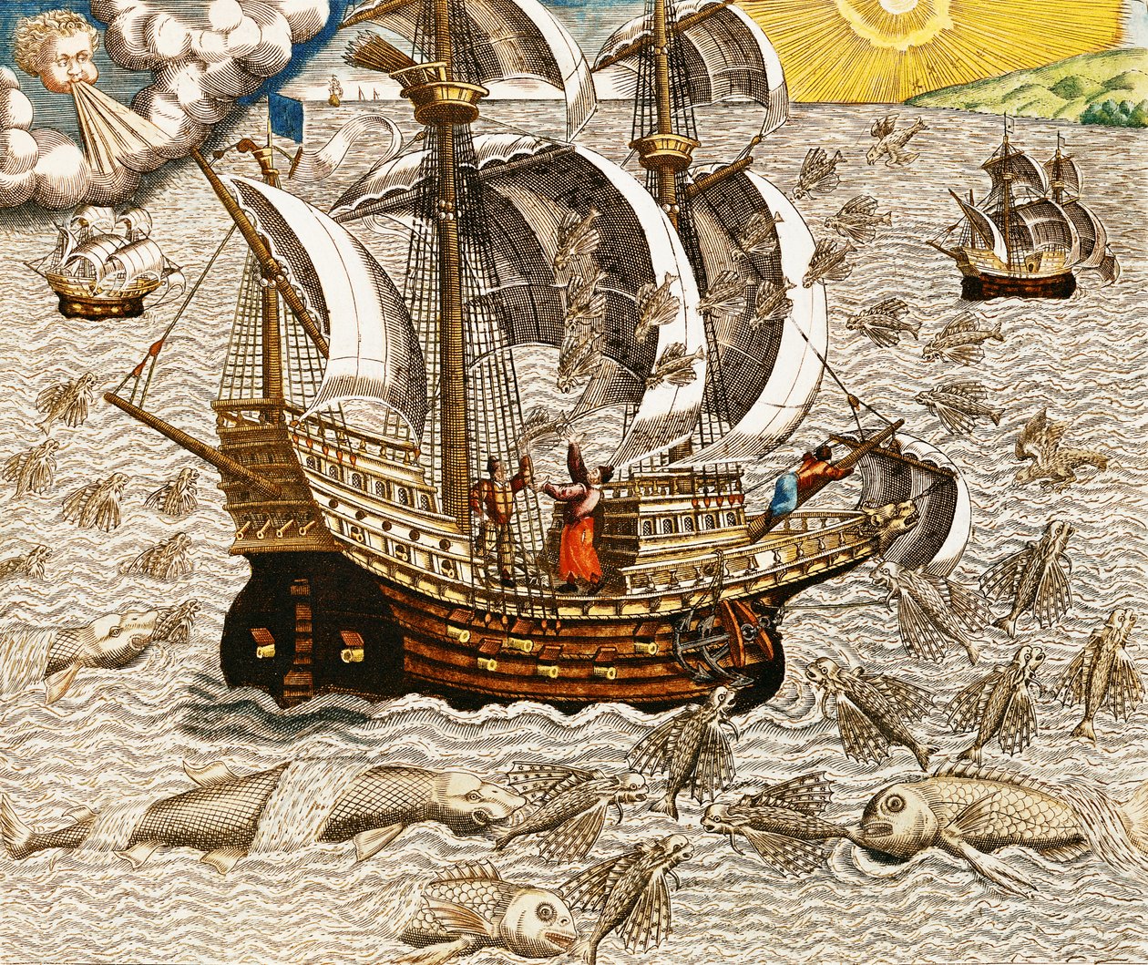 Flying Fish Meet in the Torrid Zone, fra 