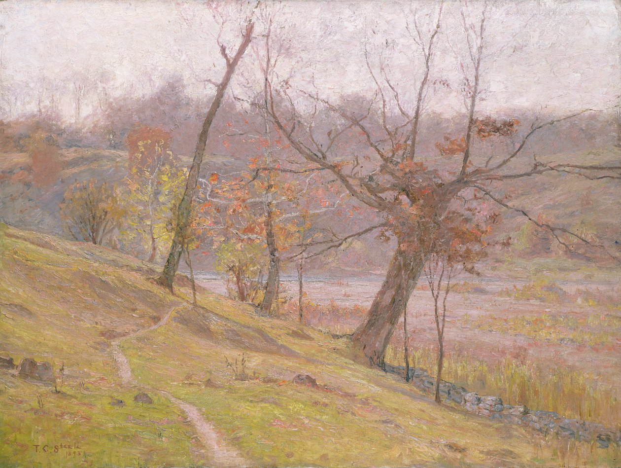 Druens blomst av Theodore Clement Steele