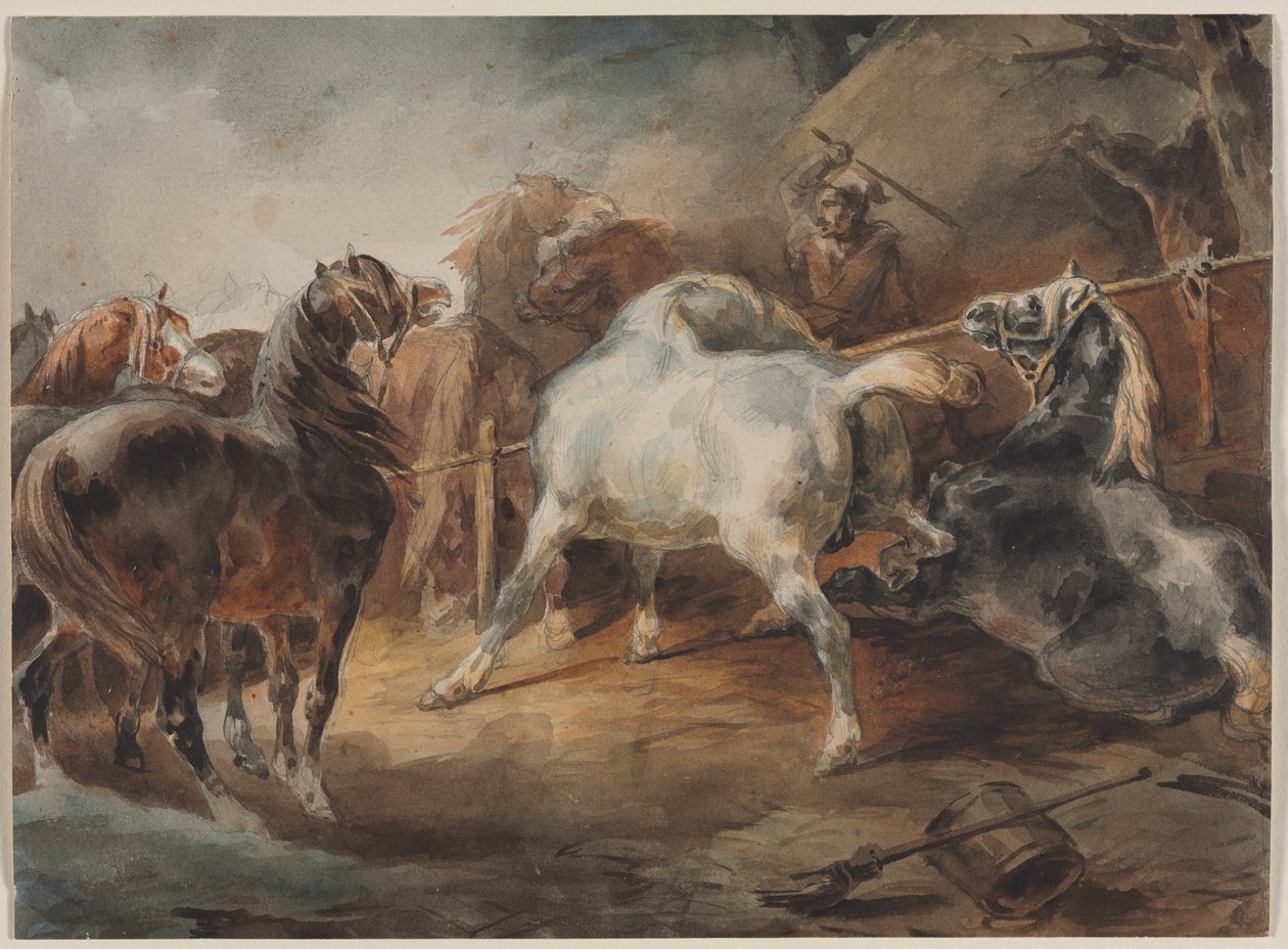 Kamphester av Theodore Gericault