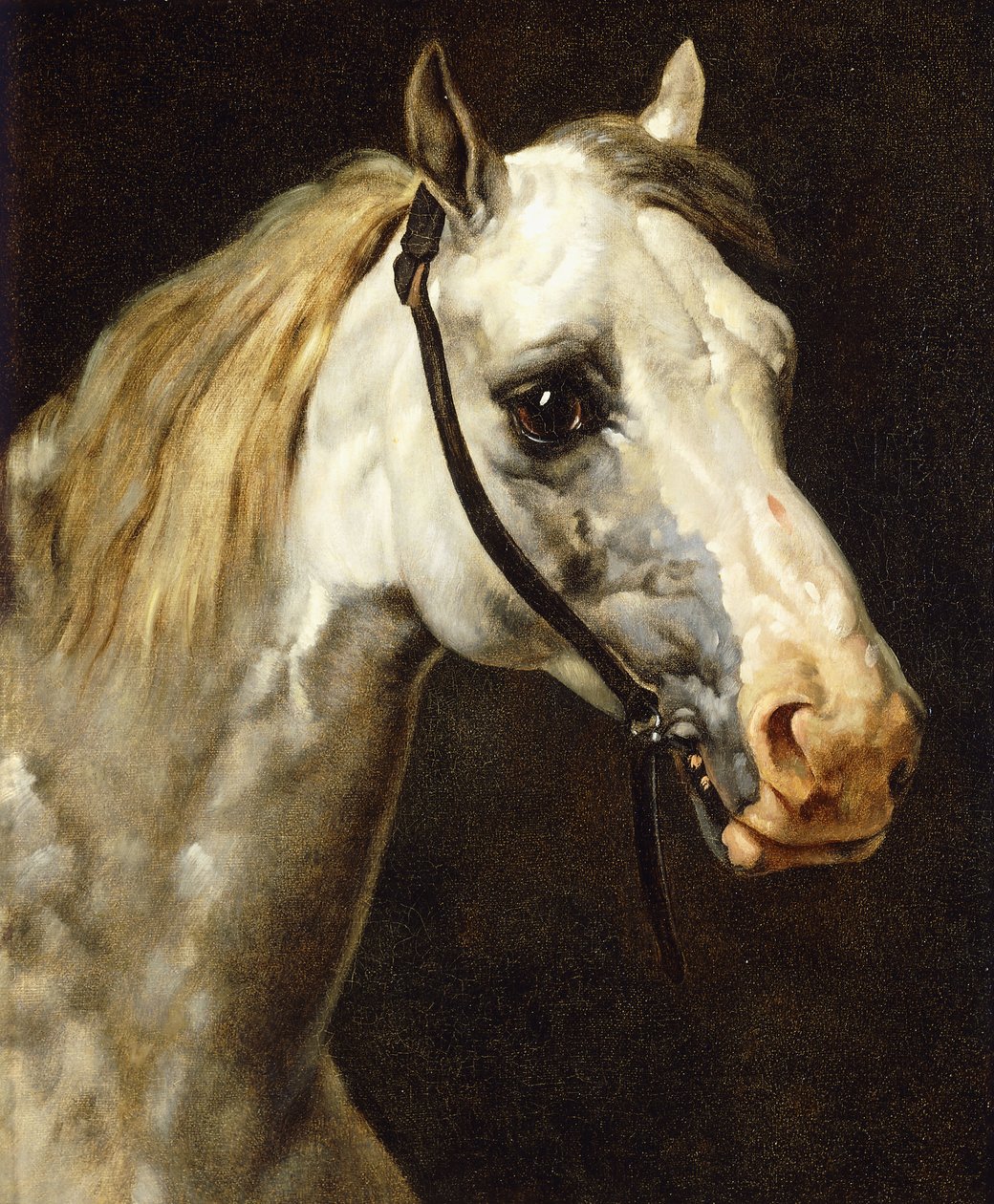 Hodet til en skjærende hest, av Theodore Gericault