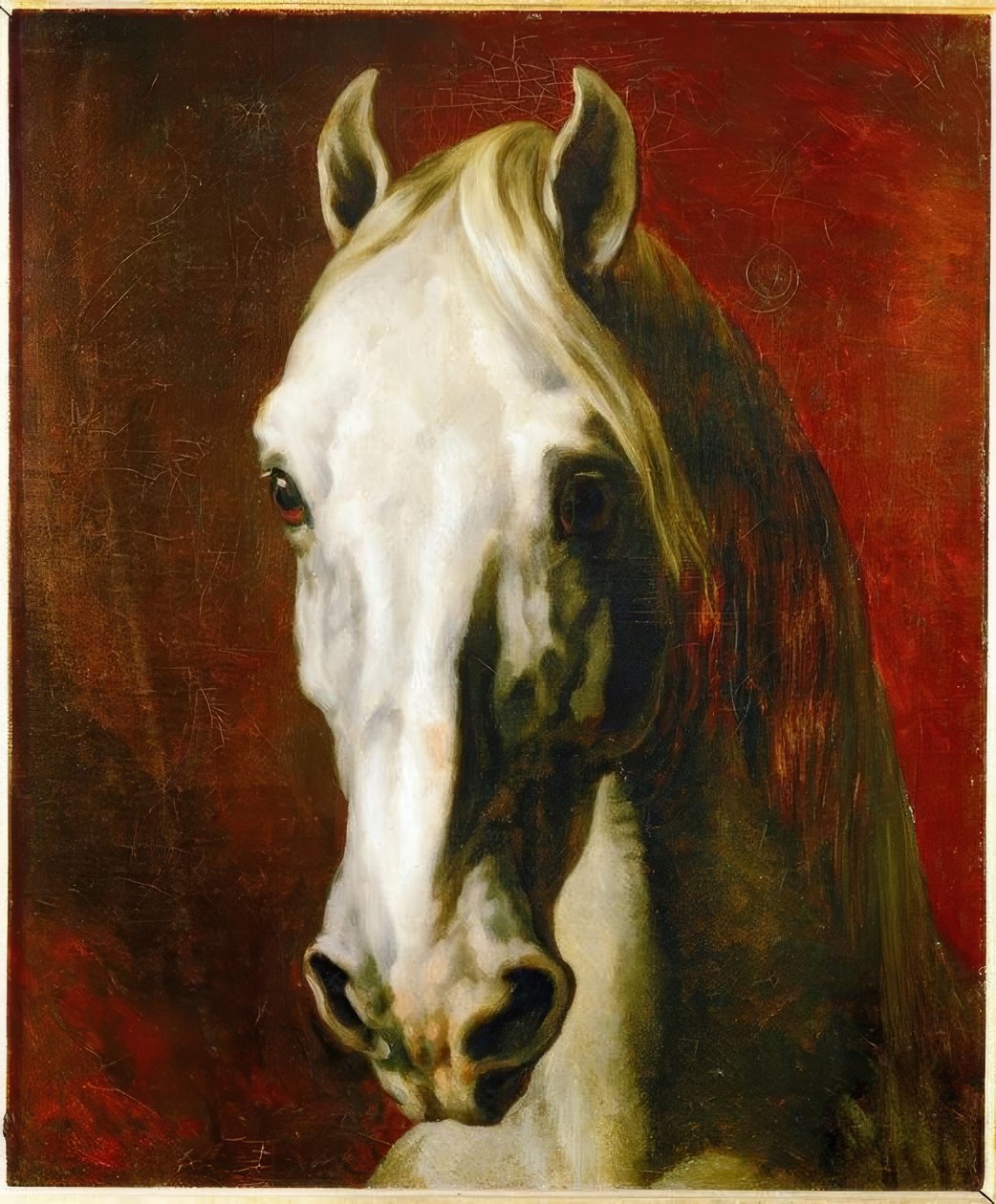 Hodet til en hvit hest av Theodore Gericault