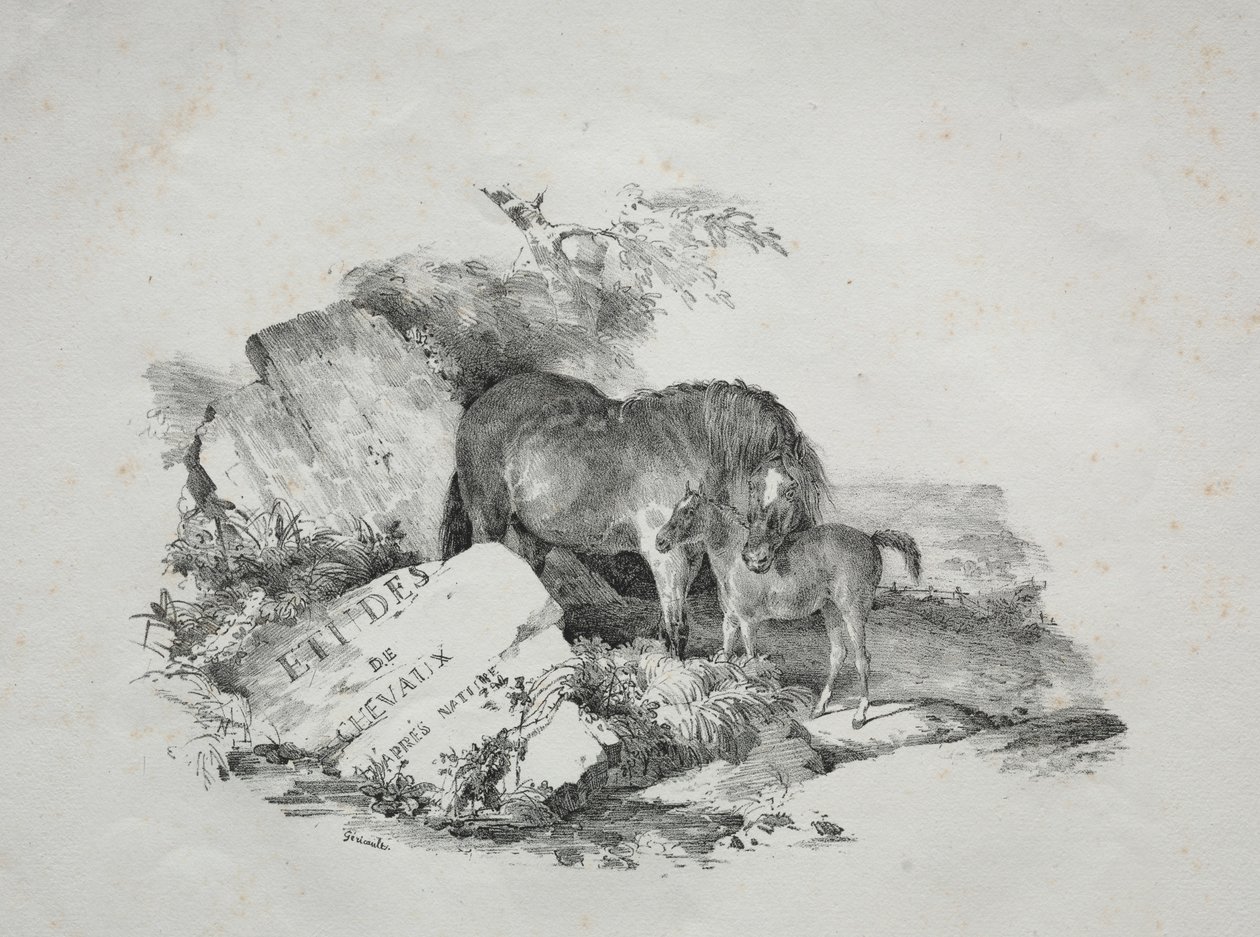 Hoppa og føllet hennes. av Theodore Gericault