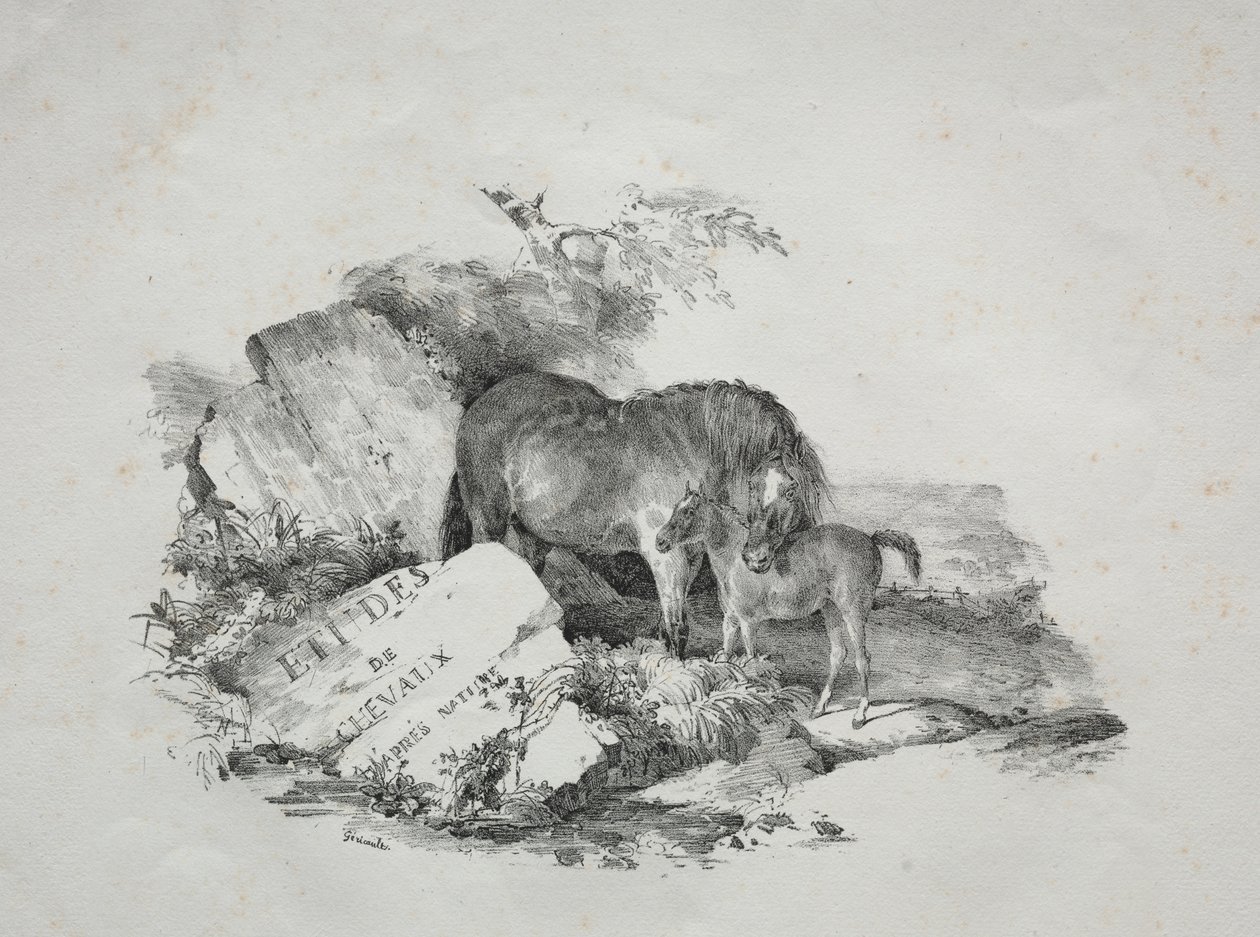 Hoppa og føllet hennes av Theodore Gericault