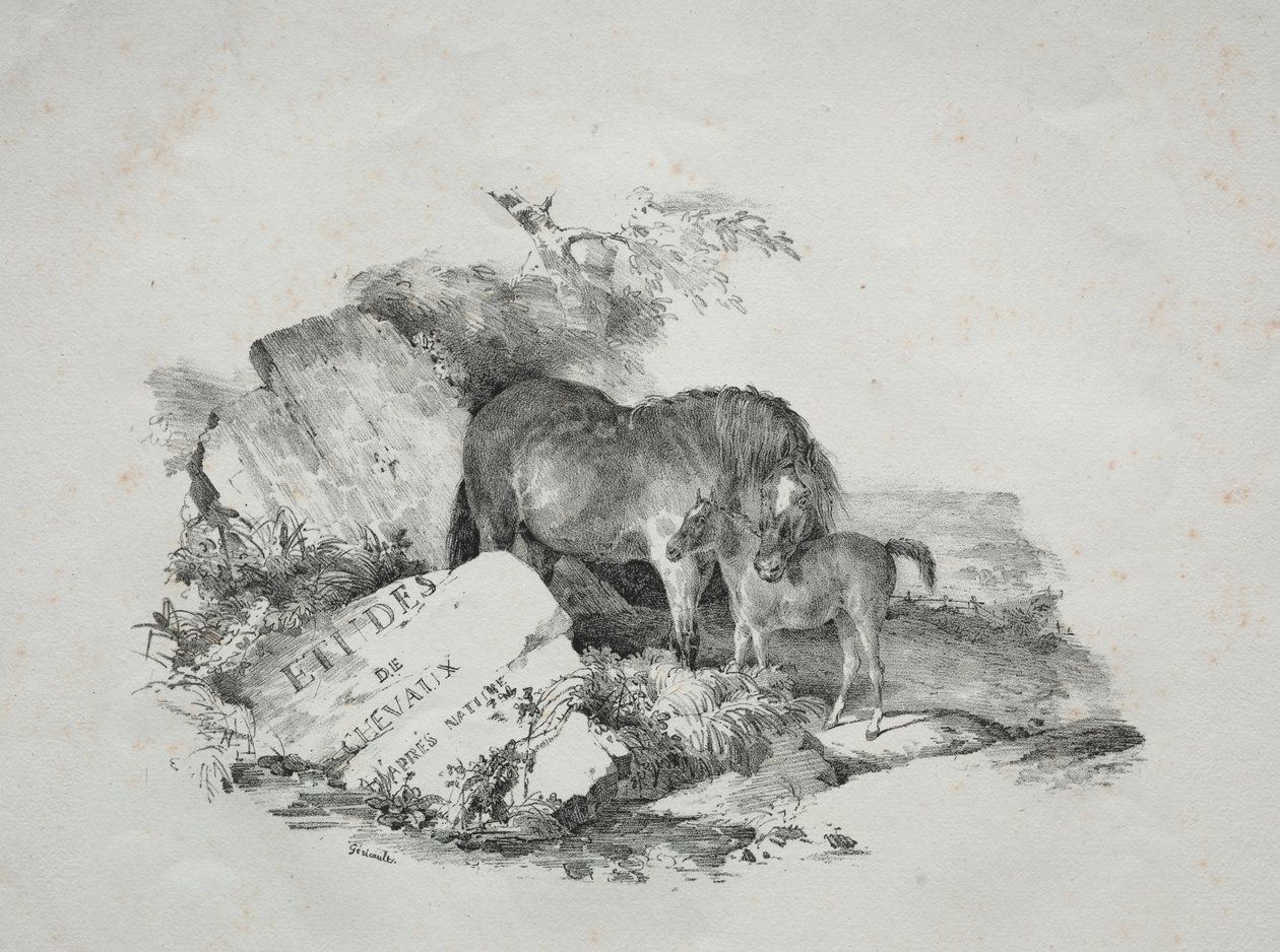 Hoppa og føllet hennes av Theodore Gericault