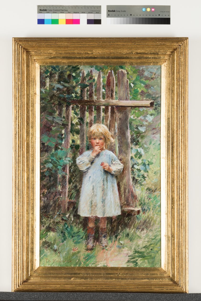En røver av Theodore Robinson
