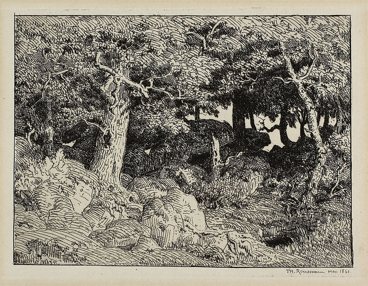 Eik fra Rocks av Theodore Rousseau
