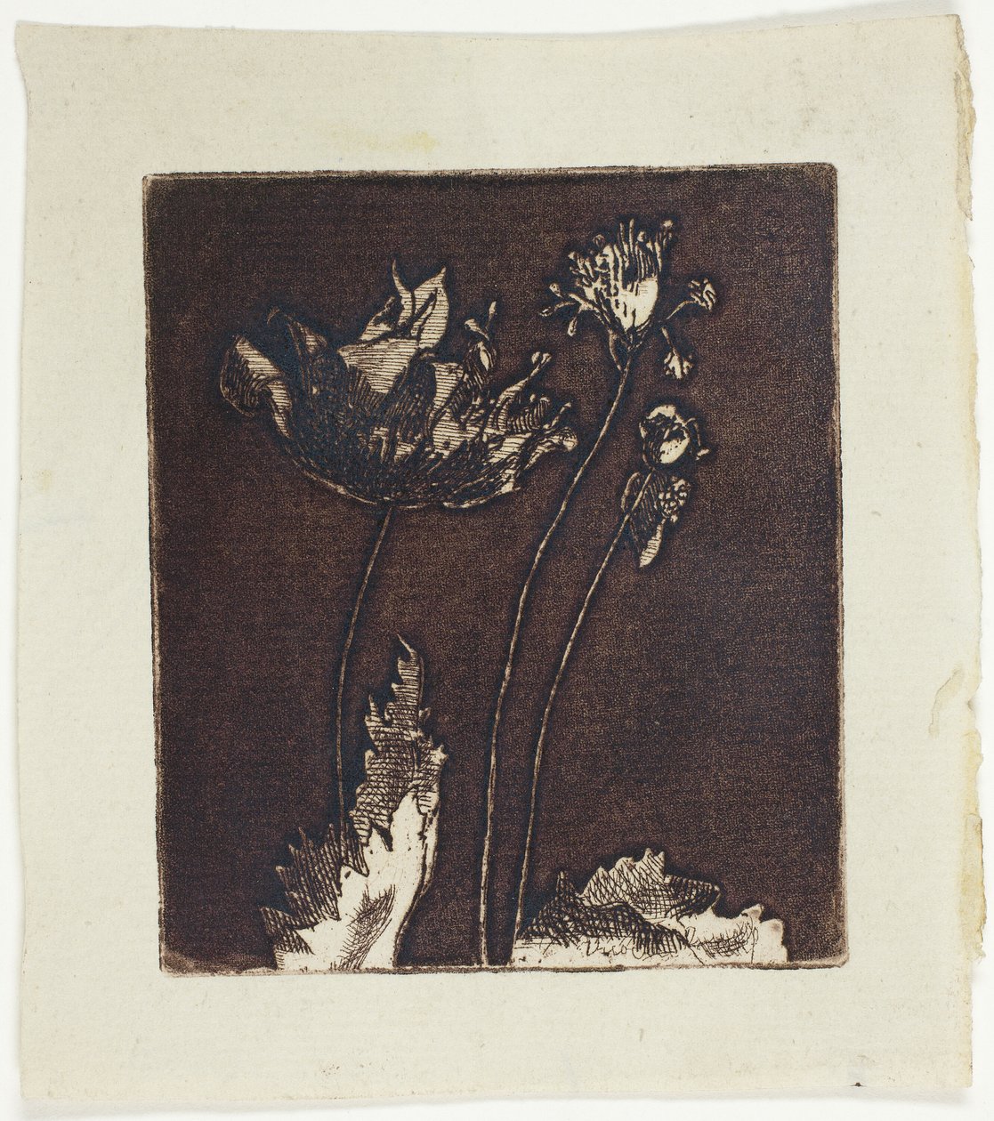 Siste valmuer av Theodore Roussel