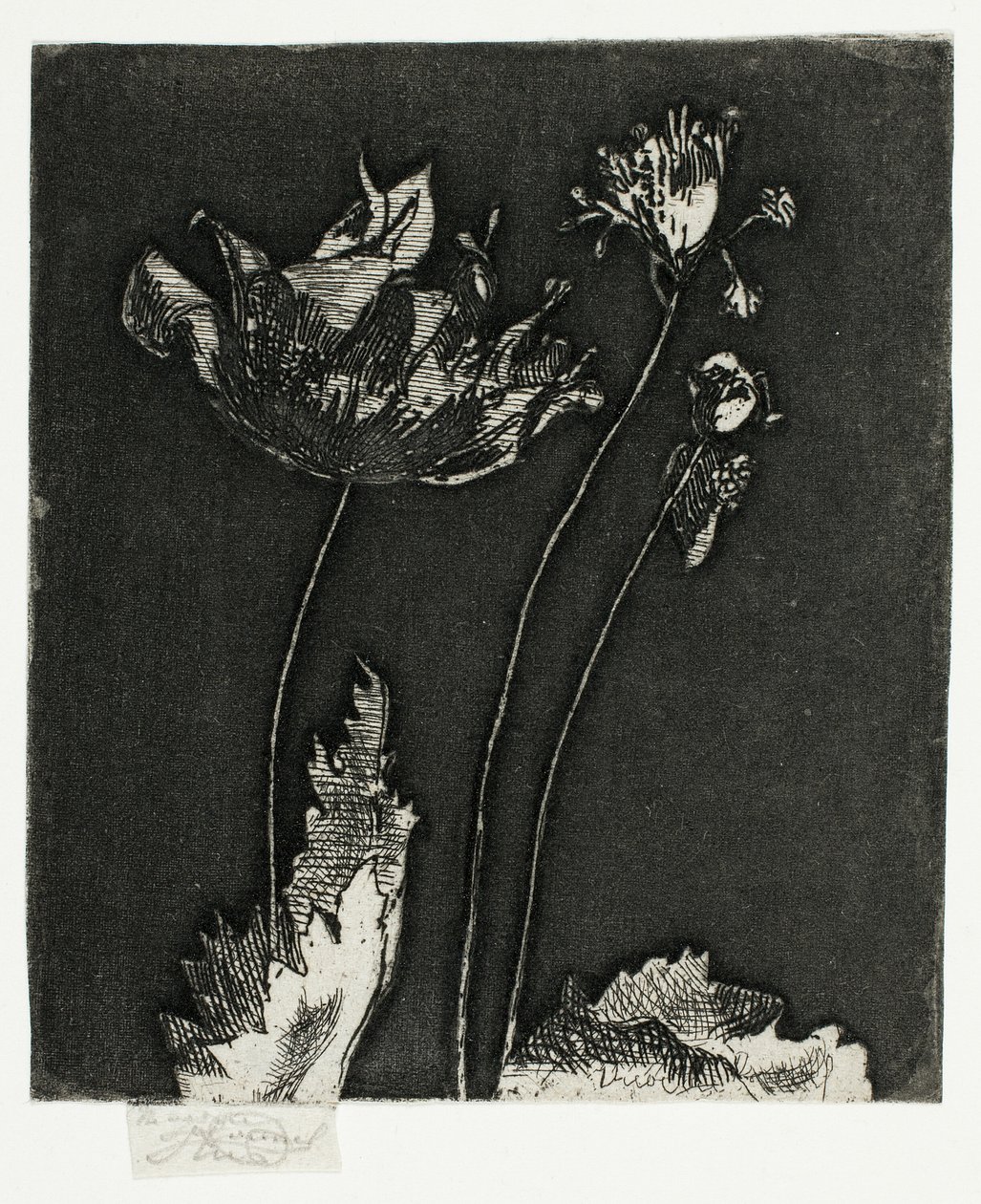 Siste valmuer av Theodore Roussel