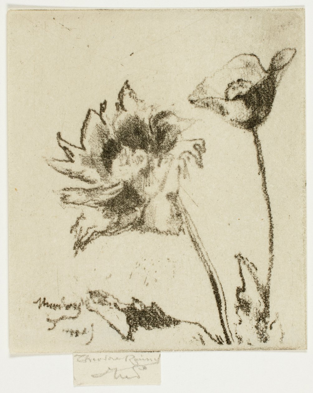 To blomster av Theodore Roussel