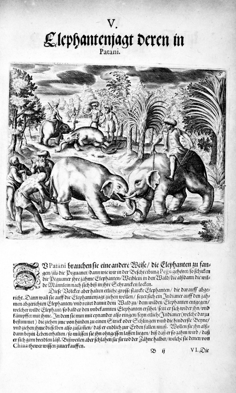 Elefanter som kjemper, 1606 av Theodore de Bry