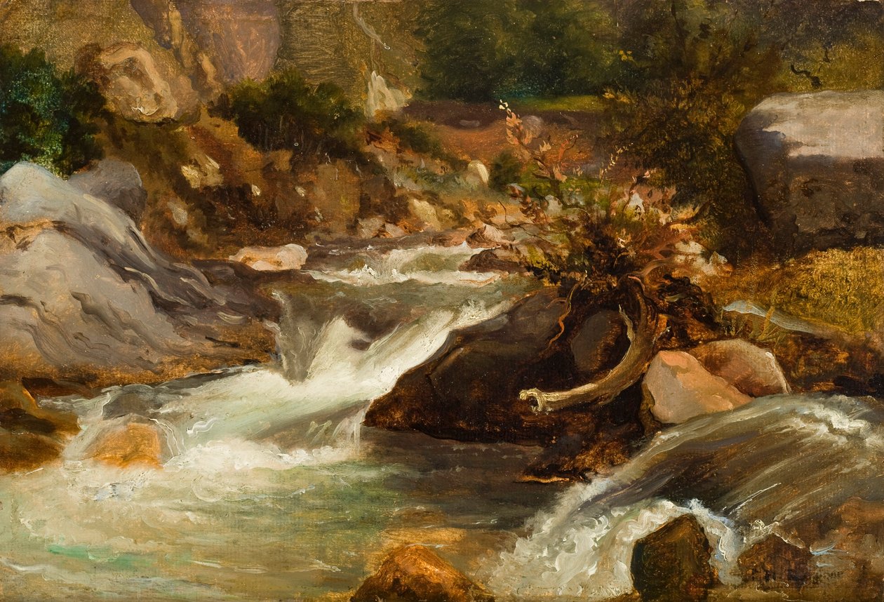 Landskapsstudie (La Source) ca. 1830 (olje på papir montert på panel) av Pierre Etienne Theodore Rousseau
