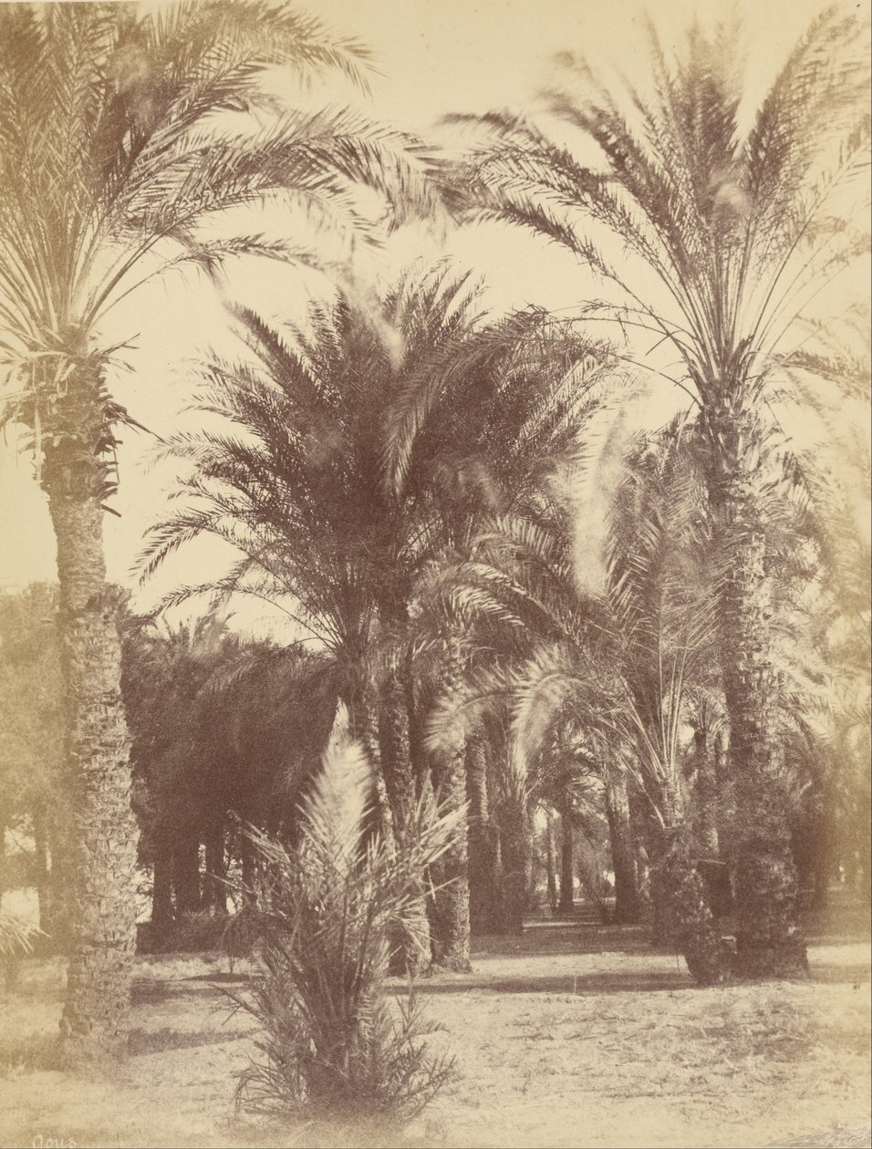 Gous av Théodule Devéria