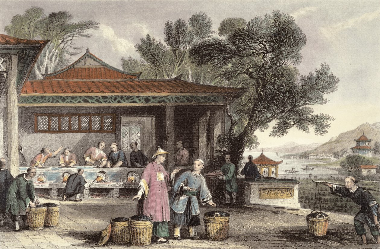 The Culture and Preparation of Tea, fra 
