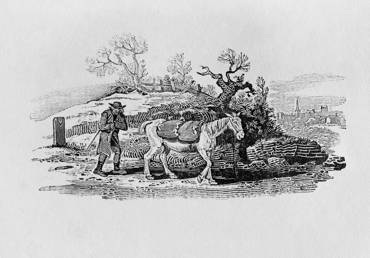 Gjess fraktet til markedet fra "History of British Birds and Quadrupeds" av Thomas Bewick