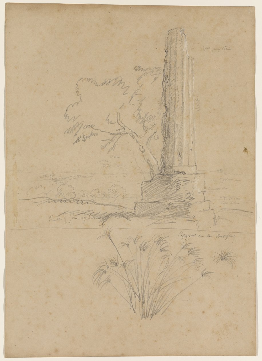 Zevs og Papyrus-tempel ved Anapo-elven, nær Syracuse, Sicilia, 1842 (blyant forhøyet med hvitt kritt på papir) av Thomas Cole