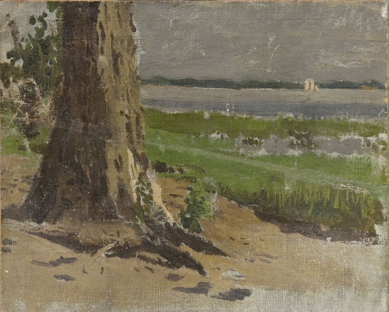 Ukjent bilde av Thomas Eakins