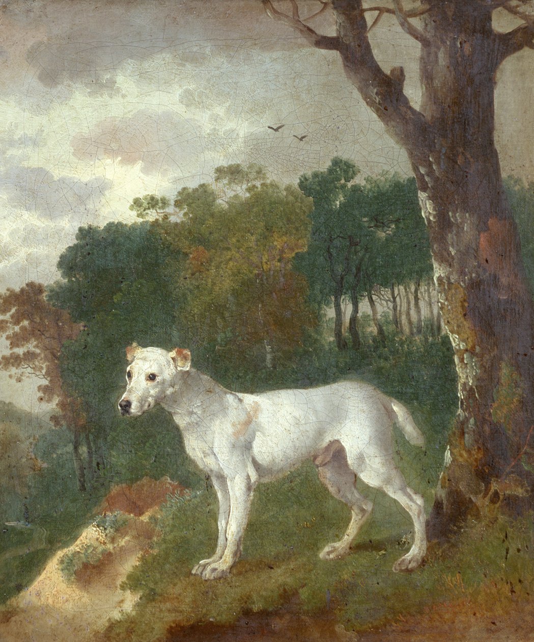 Bumper, en Bull Terrier, 1745 av Thomas Gainsborough