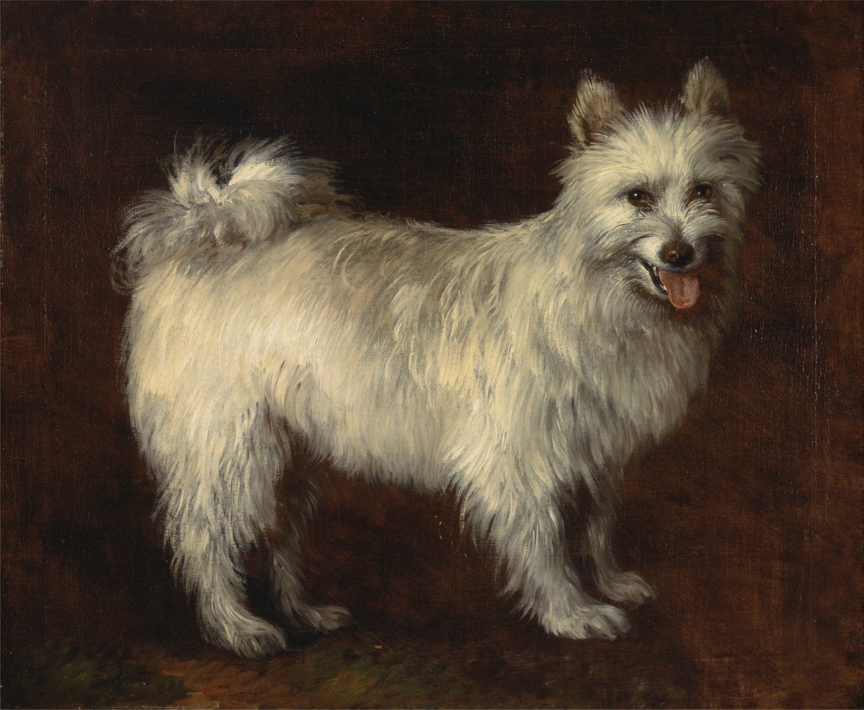 Spitzhund av Thomas Gainsborough