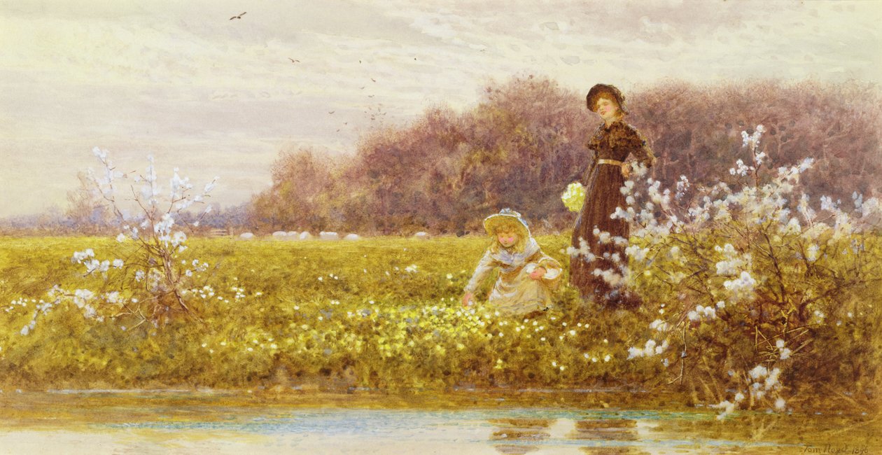 Plukke Primroses, 1896 av Thomas James Lloyd