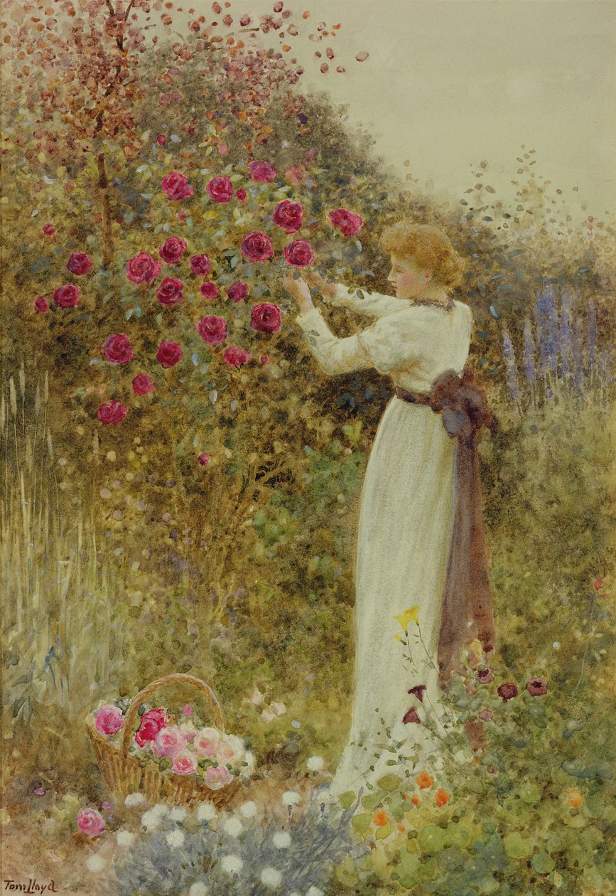 Roses, 1867 (wc med kroppsfarge på papir) av Thomas James Lloyd