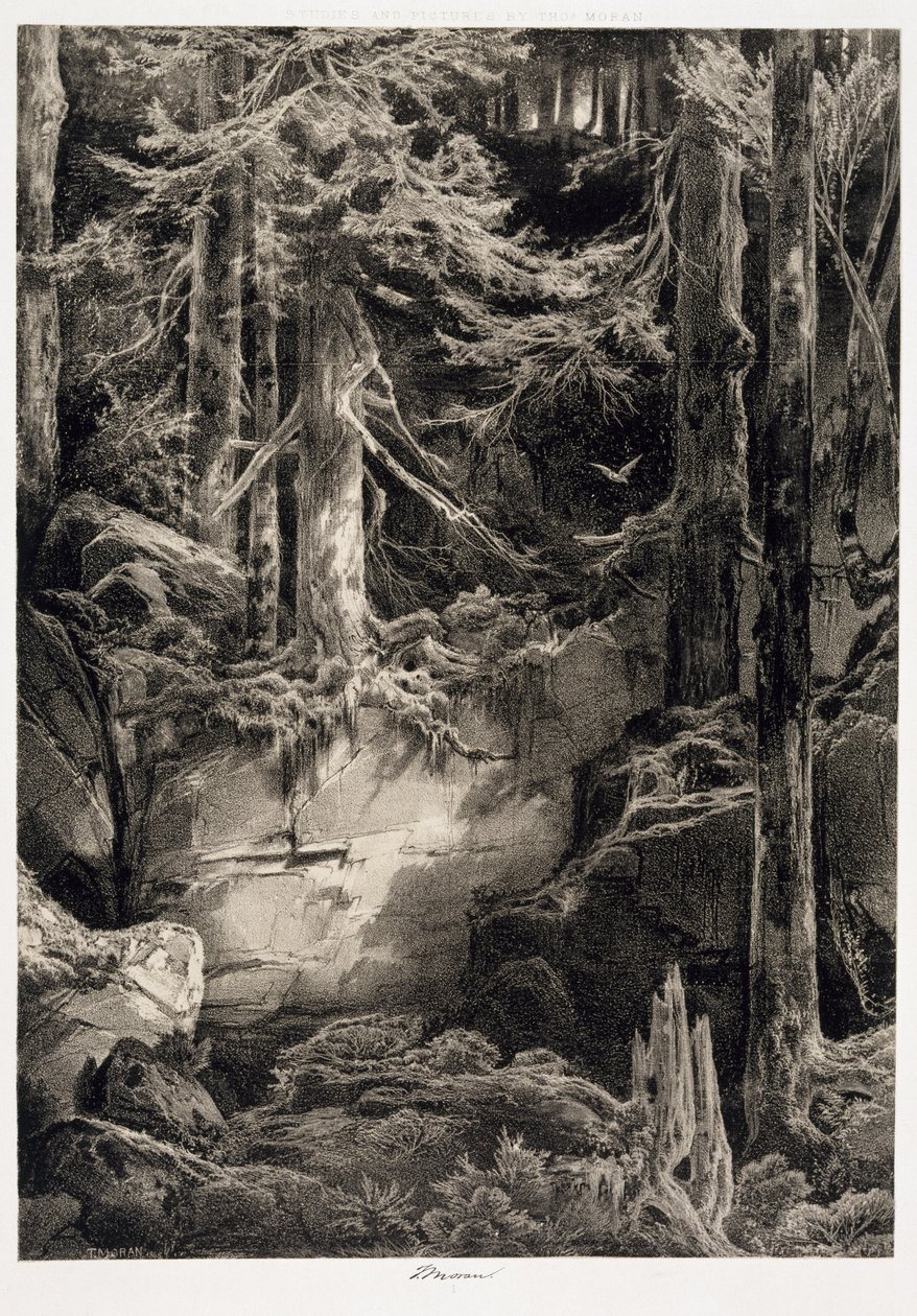 I skogen til Wissahickon, 1868 av Thomas Moran