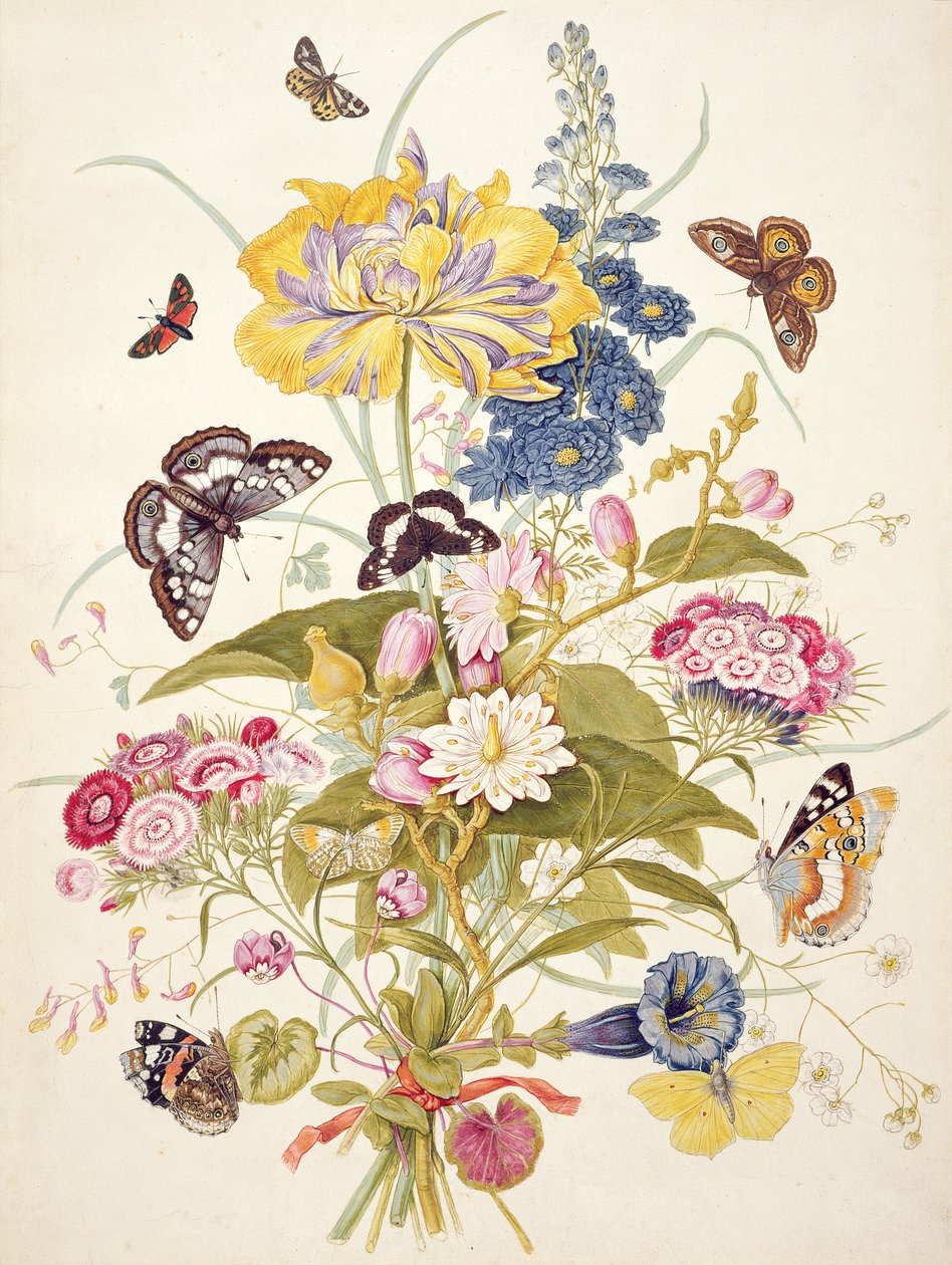 PD.912-1973 Stilleben av blomster inkludert en papegøyetulipan, lerkespore, sweet william, gentian og cyclamen, 1769 av Thomas Robins