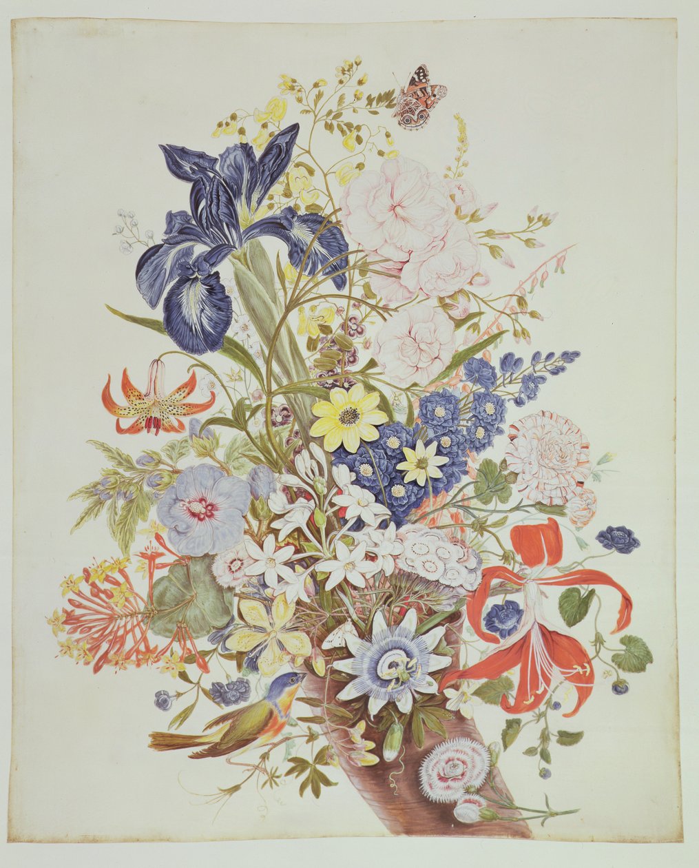 PD.915-1973 Blandede blomster i et overflødighetshorn, ca. 1768 (wc og gouache på vellum) av Thomas Robins