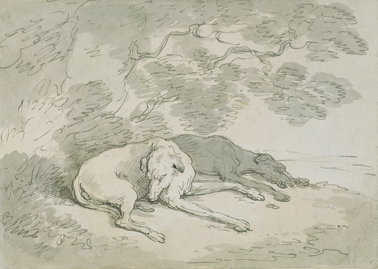 Greyhounds sover, (penn og blekk og wc på papir) av Thomas Rowlandson