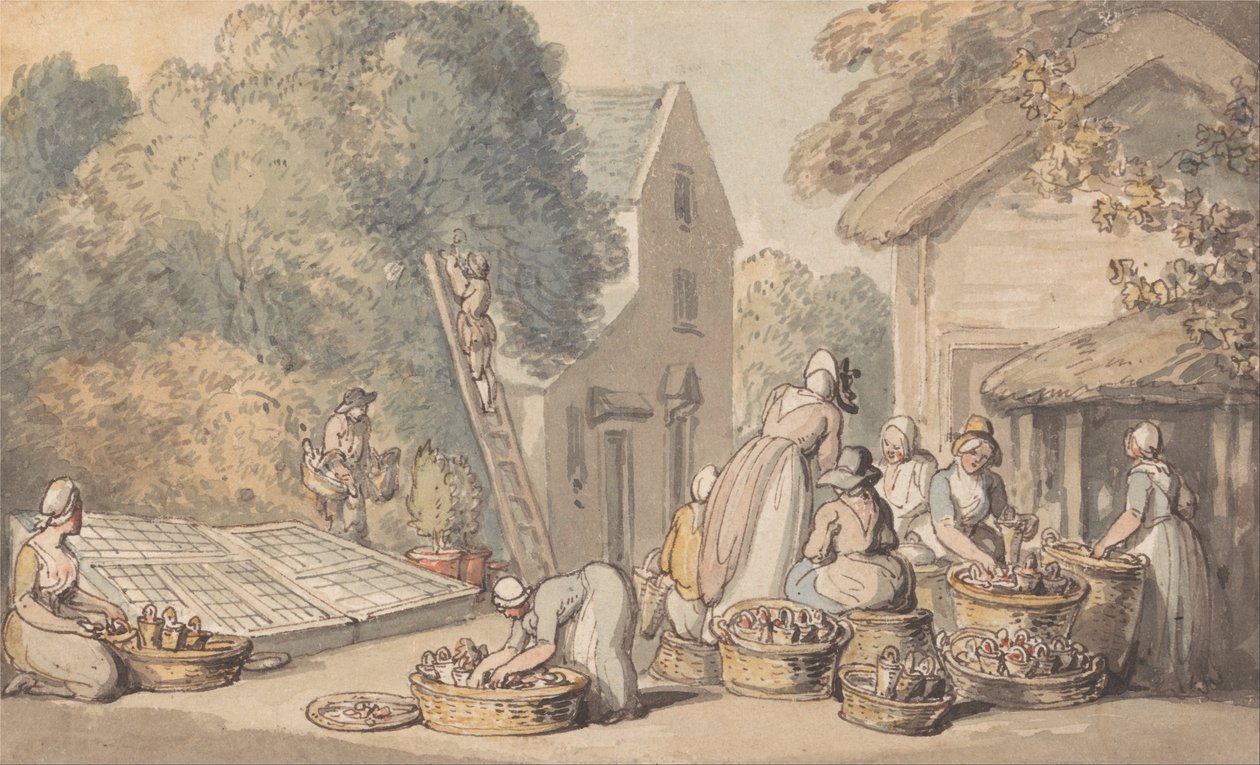 Plukker morbær av Thomas Rowlandson