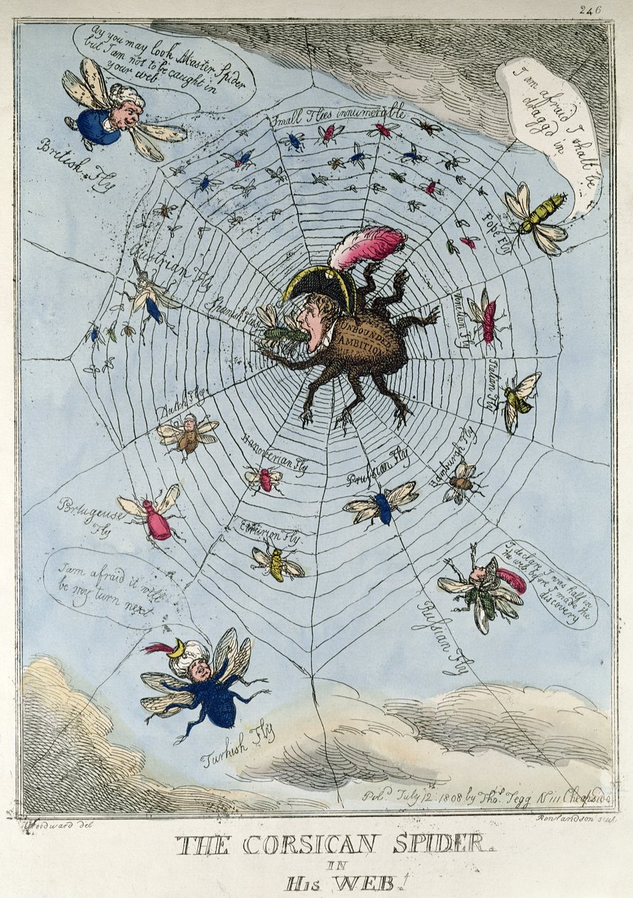 Den korsikanske edderkoppen i nettet hans av Thomas Rowlandson